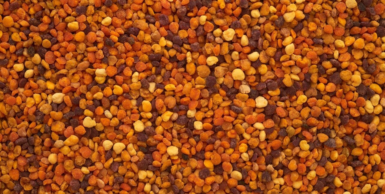 Arı Poleni Ne İşe Yarar? Faydaları Nelerdir?