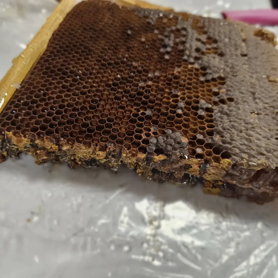 Pergalı Polenli Petek Bal