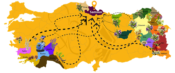 MühendisARI Bal Akım Haritası