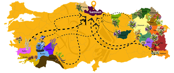 MühendisARI Bal Akım Haritası